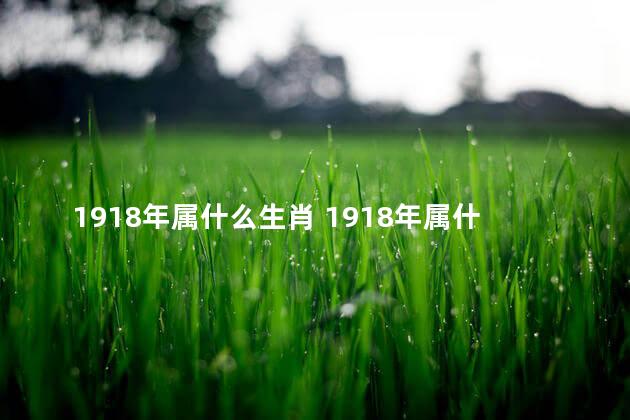 1918年属什么生肖 1918年属什么属相